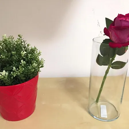 Apartamento Le Moline