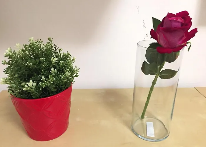 Апартаменты Le Moline